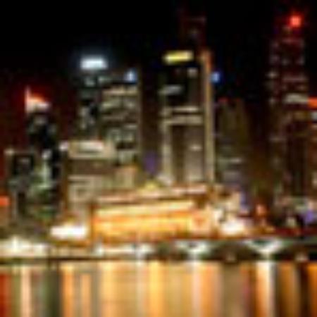 Sweet Toof Designer Cakes